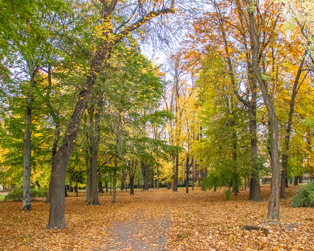 Park Bronowice